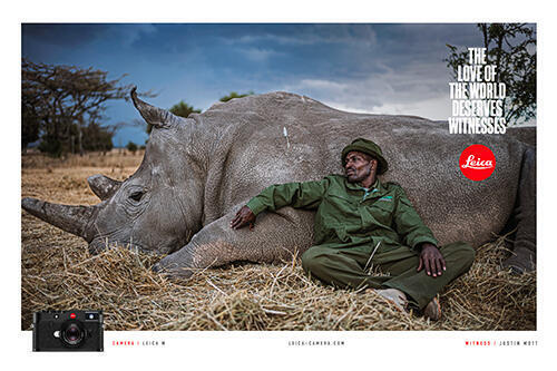 LOVE-500x333px_teaser-500x333.jpeg