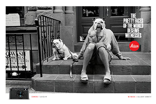 Elliott Erwitt Keyvisual Teaser